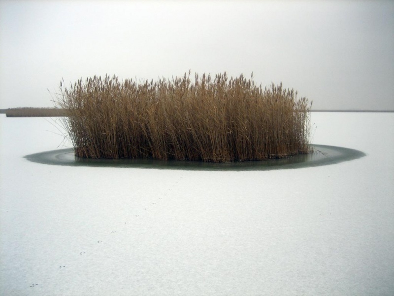 Datei:Neusiedlersee-Eis-2007-12.jpg